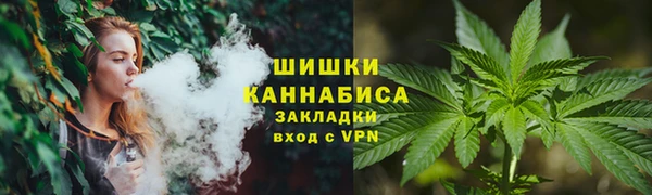 сатива Видное