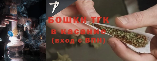 молекула духа Переславль-Залесский