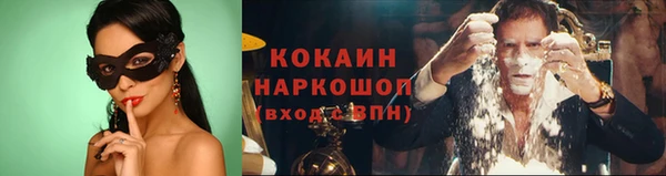 хмурый Пересвет