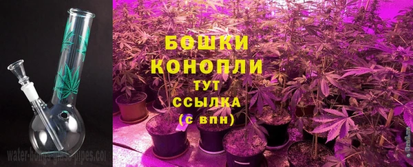хмурый Пересвет