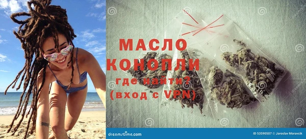 хмурый Пересвет