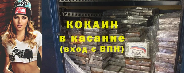 хмурый Пересвет