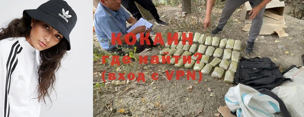 гидра Осинники