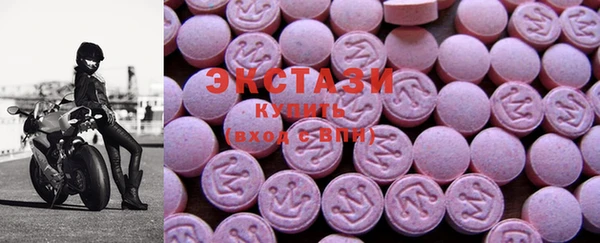 хмурый Пересвет