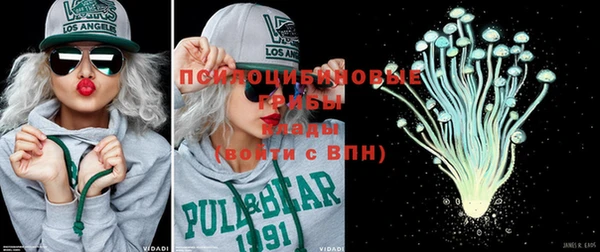ГАЛЛЮЦИНОГЕННЫЕ ГРИБЫ Осташков