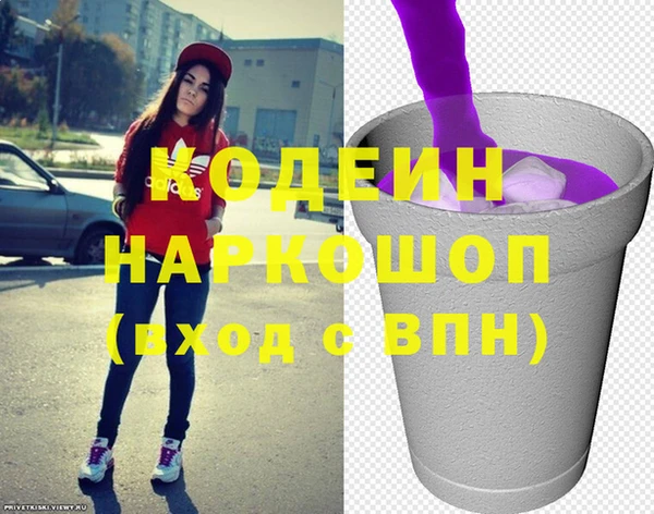хмурый Пересвет