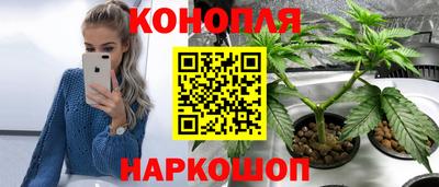 гашишное масло Гусев