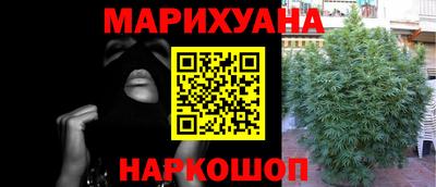 гашишное масло Гусев