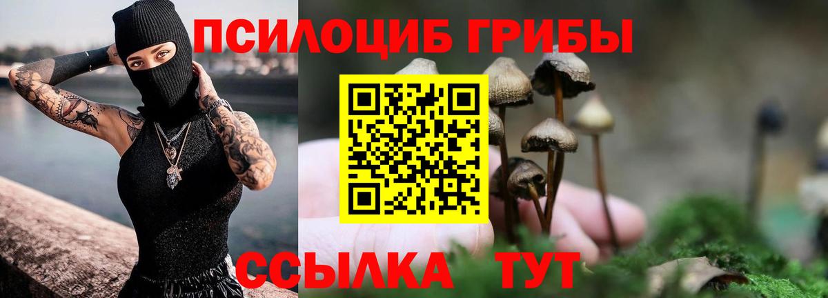 Псилоцибиновые грибы Psilocybe  Вход с VPN  Крымск 